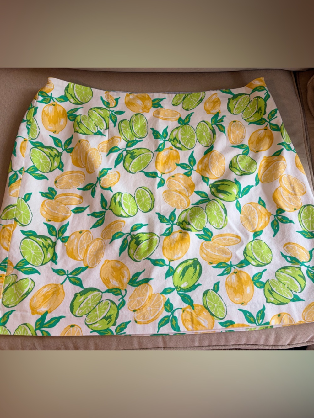 Talbots Lemon & Limes Lined Skirt (Plus Petite) 18WP
